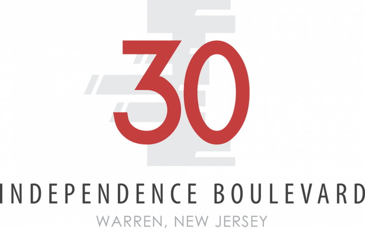 ThirtyIndependenceLogo-FINAL LOGO_outlines.png